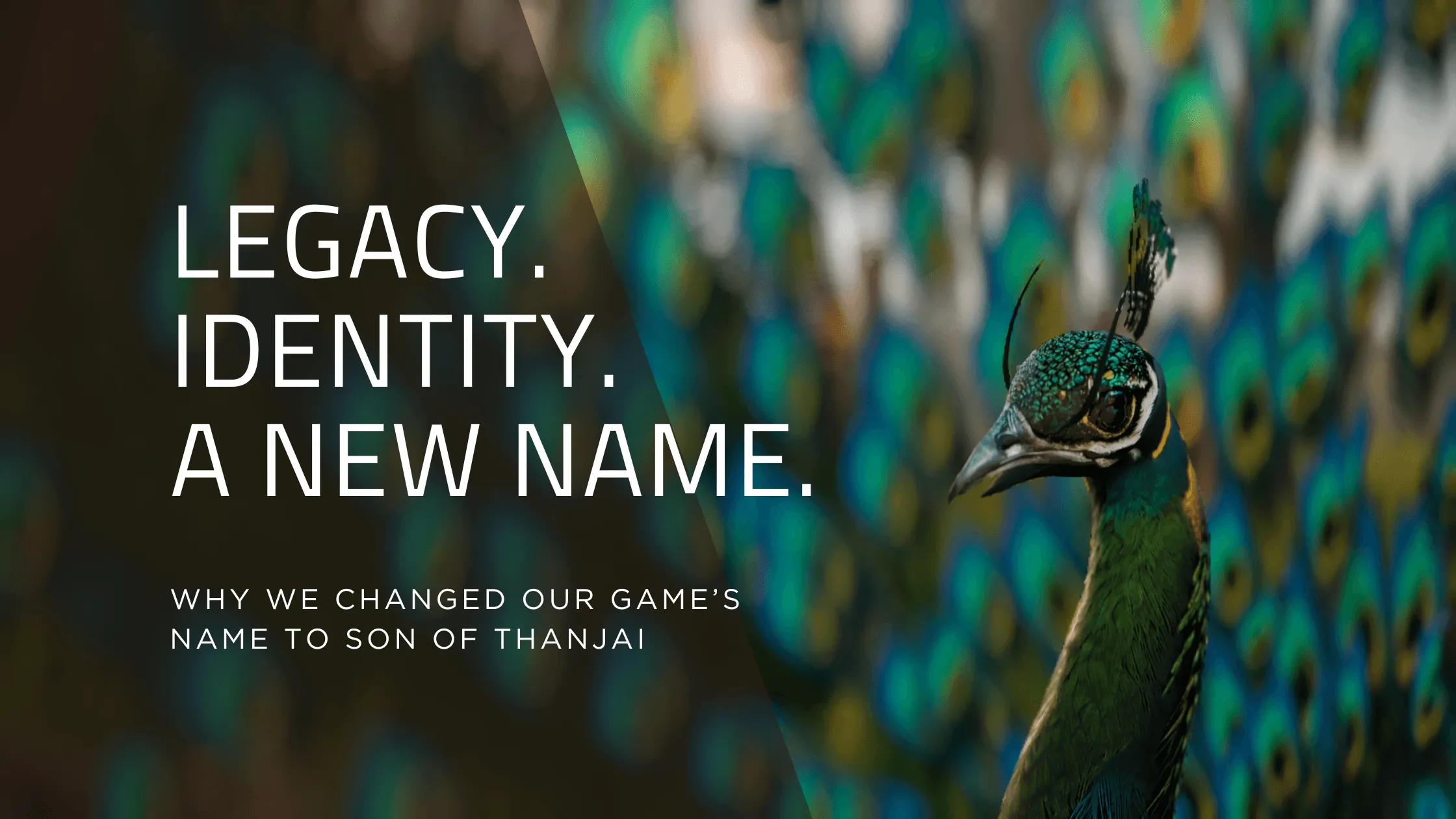 Legacy, Identity, and a New Name